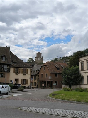 terrain à la vente -   68240  KAYSERSBERG, surface 707 m2 vente terrain - UBI425558611